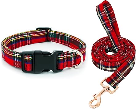 Tunkoo Christmas Dog Collar & Leash Bundle, S