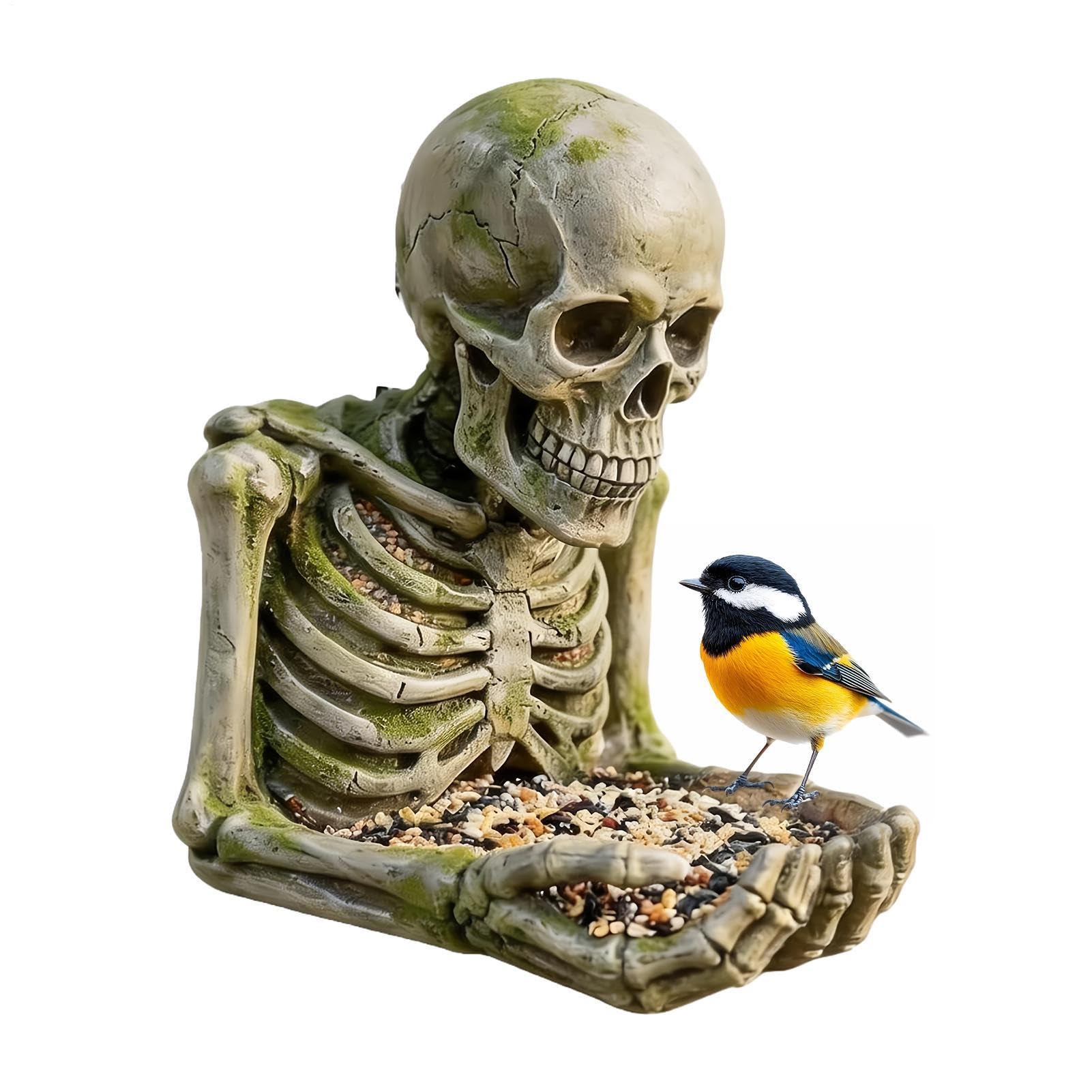 Mangeoires à oiseaux pour l'extérieur suspendues au patio pour observer la nature