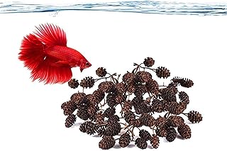 JOR Alder Cone Water Conditioner for Betta Fish, Creates Native Habitat, Relieves Stress, Serves As A Nursery and Food Source, Lowers Water pH, Can Be Used in Filter Or Freely in Aquarium, 60 pcs JOR
