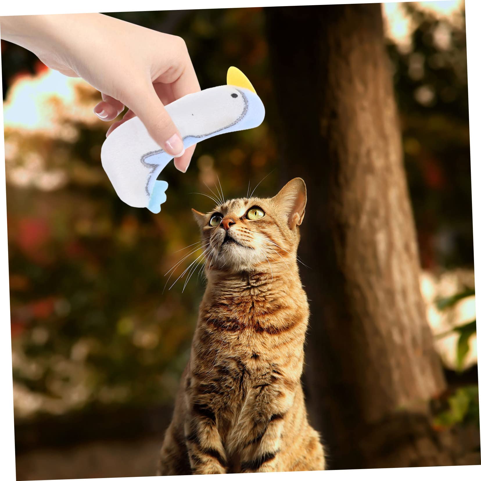 Yardwe 25pièces Jouets Cataire pour Jouets à Mordre Remplis Herbe à Chat Poule Serpent Canard