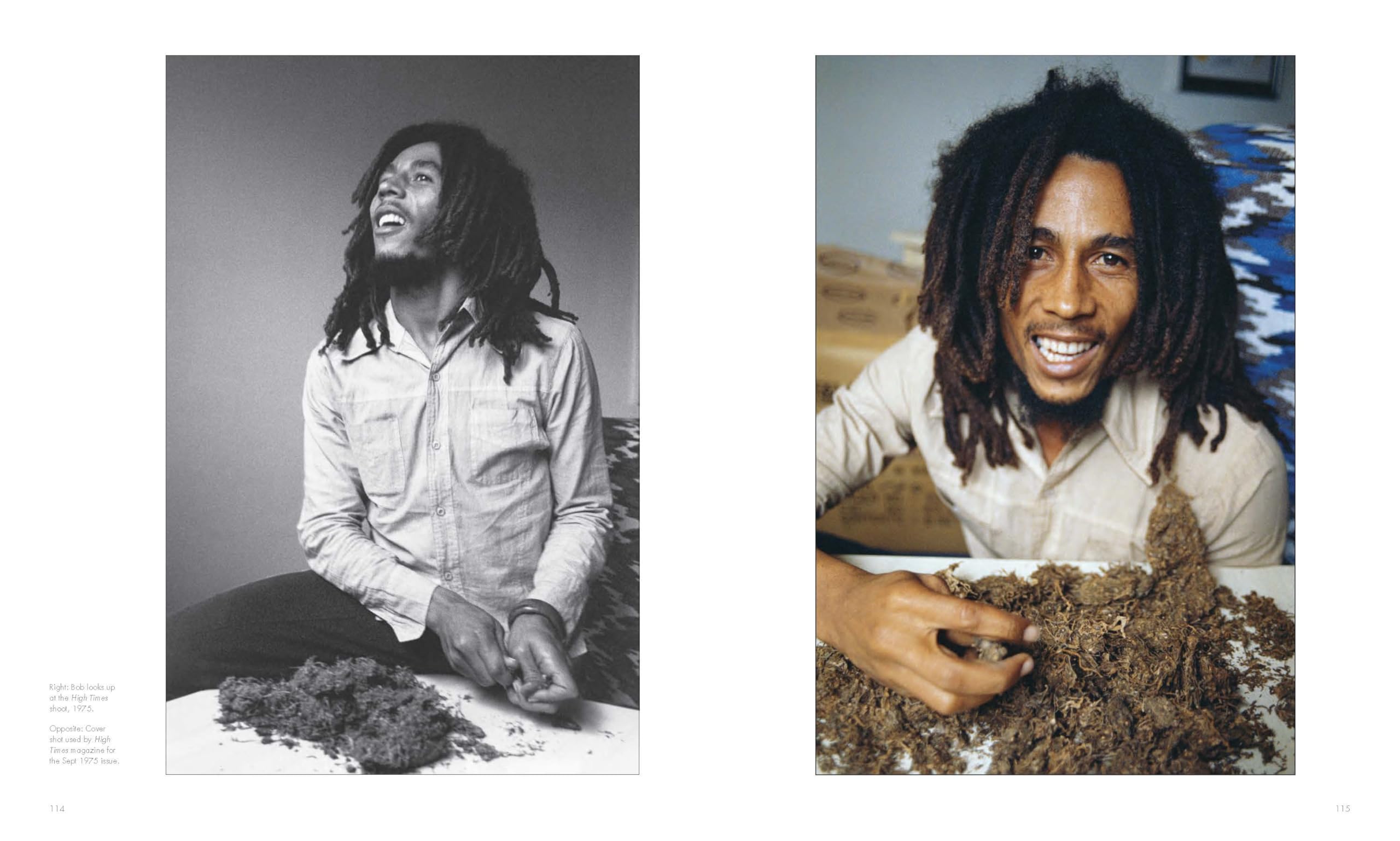 Bob Marley and the Golden Age of Reggae 1975-1976: The Photographs of Kim Gottlieb-Walker