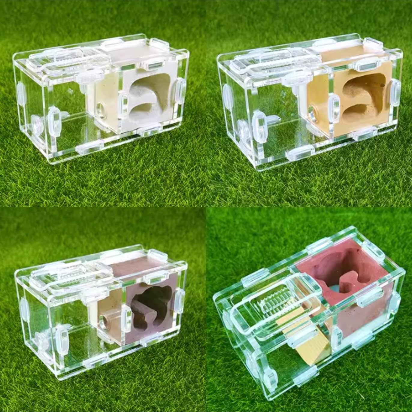 Formicarium Hormiga Experimento Científico De Granja De Nidos De Hormigas Nido De Insectos De Formicario para Herramientas De Educación Científica Granja Hormigas(Bruin)