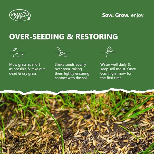 Pronto Seed Premium Fast Growing Grass Seed 1.4kg – Hard Wearing Lawn Seeds for Overseeding & New Turfs – Covers 84m, Hard Wearing, DEFRA Approved & Tailored for UK Climate (1.4kg) - 4