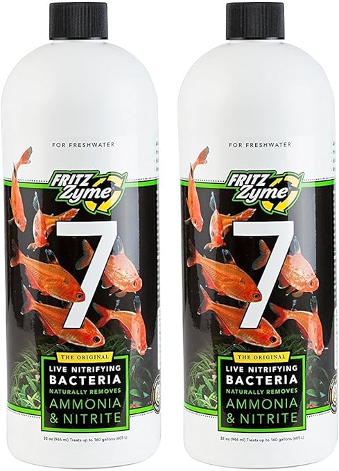 unique puppy collars