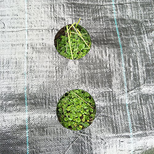 Originline Weed Control Fabric Planting Holes - Ground Cover Weed Barrier - Eco-Friendly for Vegetable Garden Landscape, 3 feet by 12 feet - Thumbnail 2