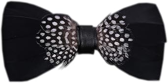 Secdtie Novelty Feather Bow Tie for Men Handmade Pre-tied Bowtie with Gift BOX
