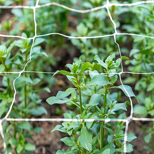 Miniatura 5 de 8 redes de enrejado de plantas de 5 x 30 pies, red de poliéster resistente, red de malla para jardín para plantas trepadoras al aire libre, cultivo