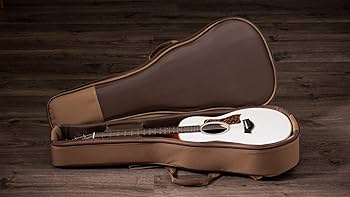 Amazon.com: Taylor GS Mini-e Special Edition Acoustic-electric