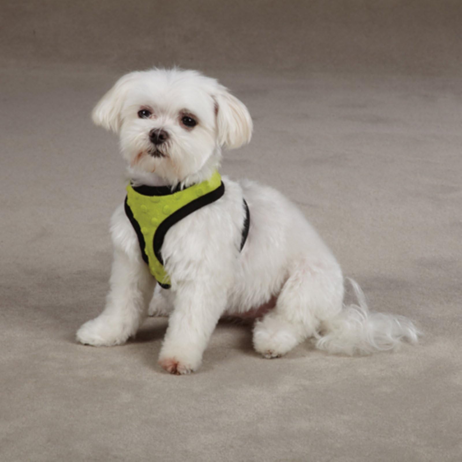 Polyester Dimple Plush Dog Harness, Medium, Parrot Green