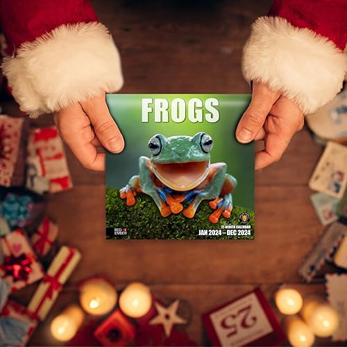 Miniatura 5 de Red Ember - Mini calendario de pared para espacios pequeños, diseño de ranas 2024, colgante mensual, solo 7 x 14 pulgadas de apertura, papel grueso