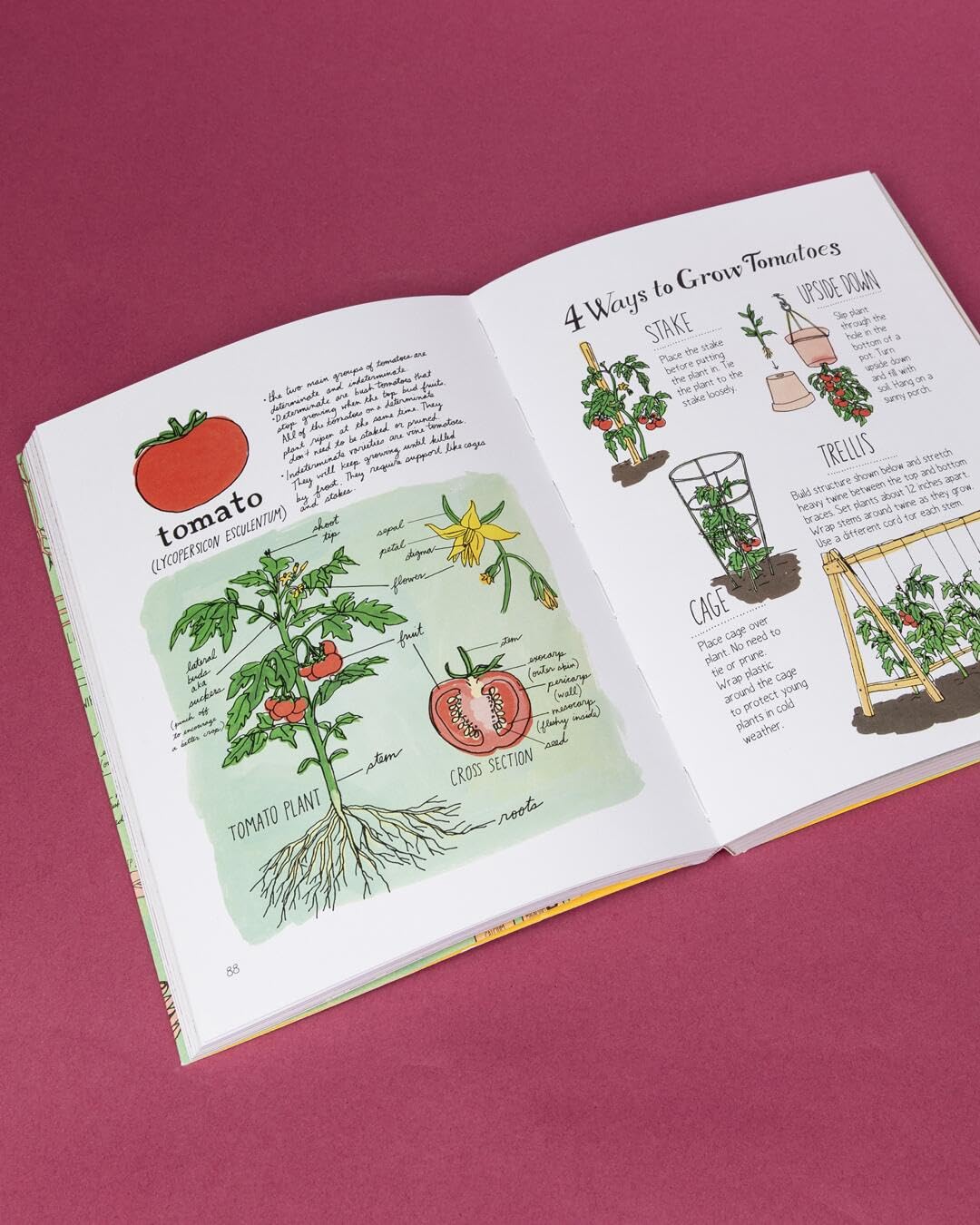 Farm Anatomy: The Curious Parts and Pieces of Country Life — Amazon image 14