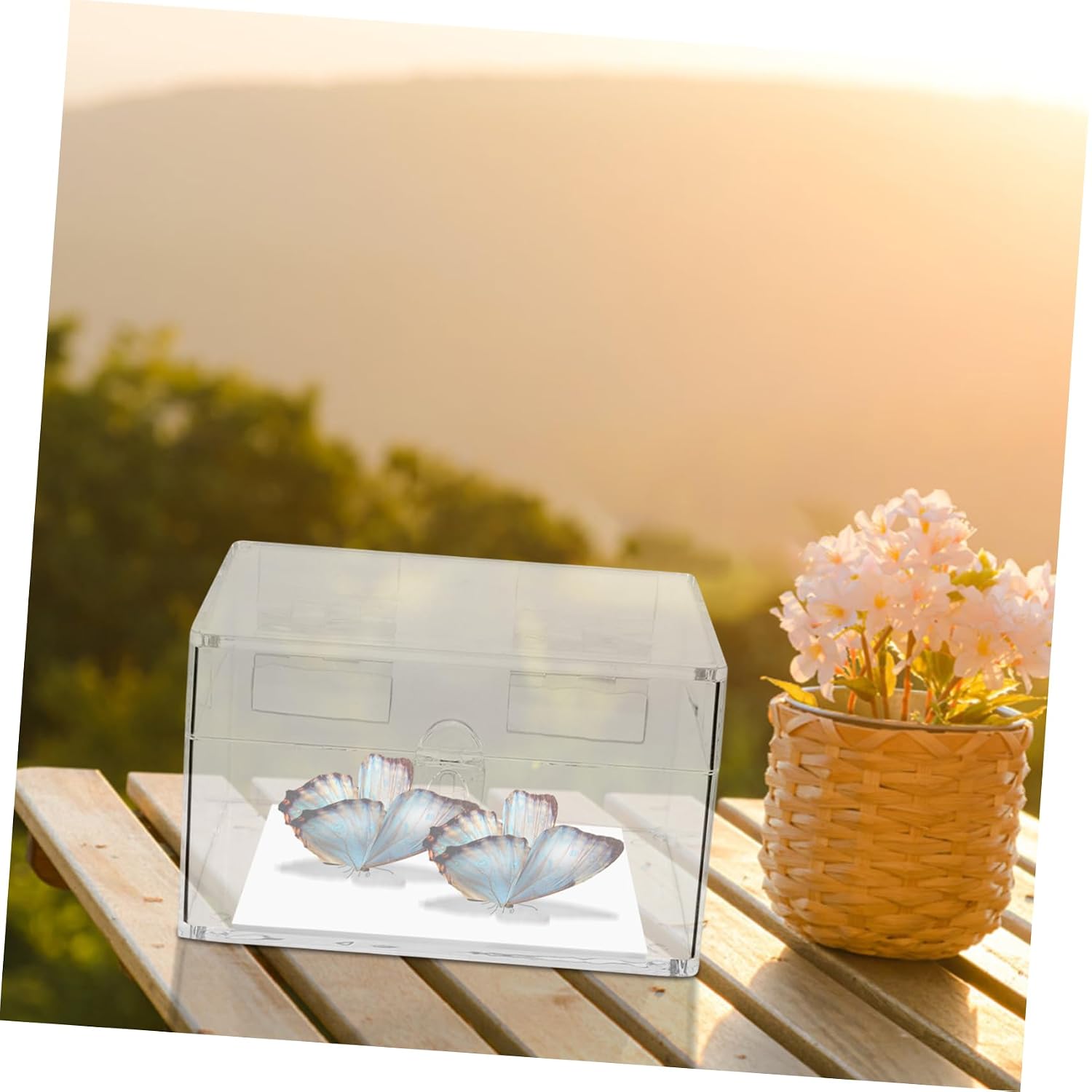 SOLUSTRE Butterfly Display Board Eva Pinning Pad for Insect Specimens Lightweight Portable Butterfly Collection Tray for Personal Collections Scientific Exhibitions