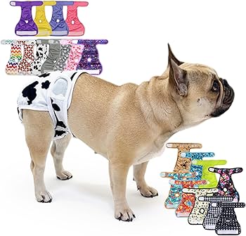 Amazon.co.jp: [24HOURS] マナーパンツ 犬 フレンチブルドック カバー