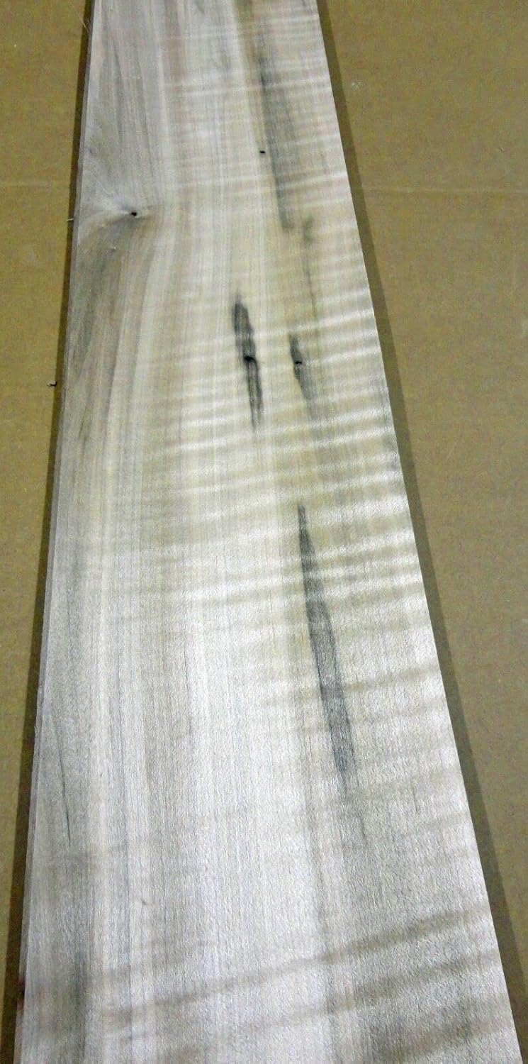 Spalted Maple Wormy Figured Wood Veneer 6" x 124" raw 1/42" no Backing A Grade