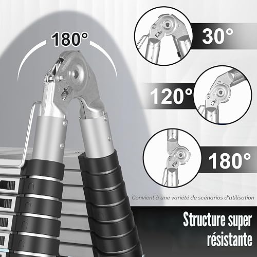 Chanjarhill Échelle Télescopique Pliante en Aluminium 5m Argenté - 4