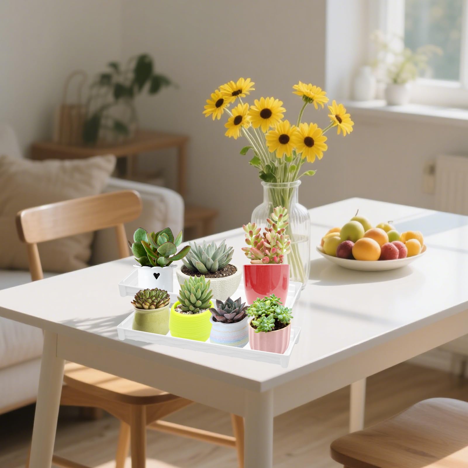 Amazon.com : 6 PCS Plastic Plant Tray Saucer, Rectangular Window Sill Plant  Tray for Indoors Outdoor Flower Pots for Window Shelf, Clear Thick Plastic  Plant Trays for Succulent Pot Planter, Square Plant