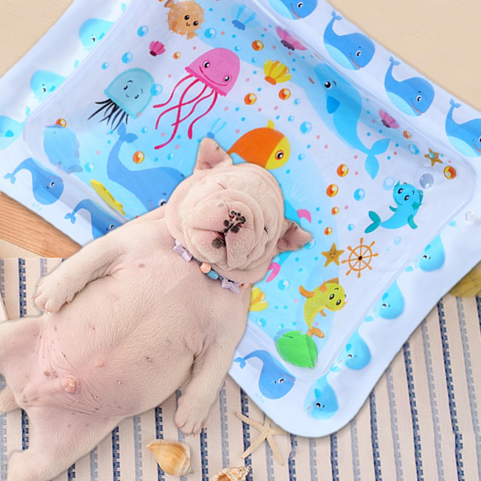 Qfdiwr Tappetino Acquatico Gonfiabile Per Cani &ndash; Lettino Rinfrescante Pieghevole A Forma Di Stella, Balena, Orso O Auto &ndash; Per Interni Ed Esterni, Tutte Le Taglie