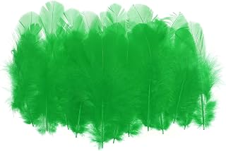 300 plumas naturales a granel para manualidades con colgante de atrapasueños, color verde