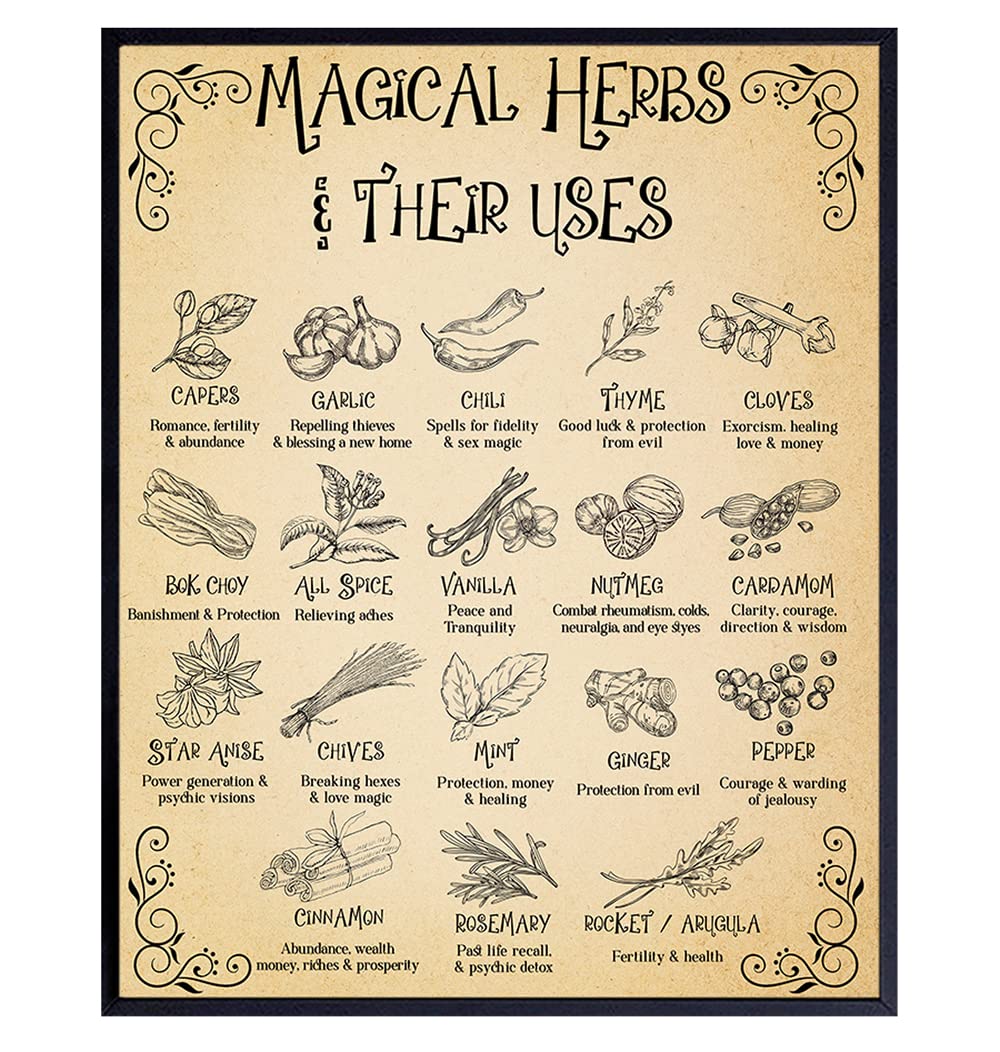 Witchcraft Herb Kitchen Wall Art & Decor Black magic Home