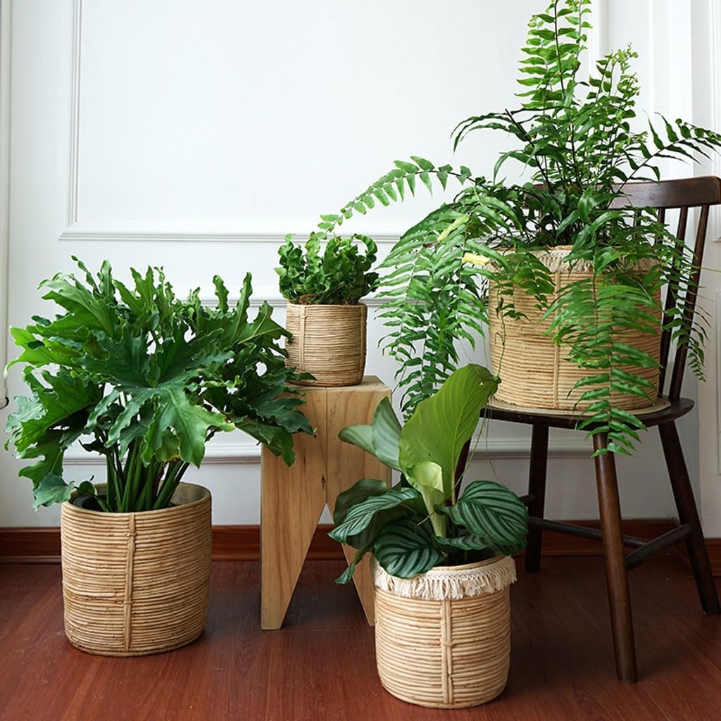 GUERNSEY Planters Woven Cement Flower Pots for Living Room Simple Interior Cement Flower Pots Suitable for Herbs and Flowers with Drainage Nursery Pots (Size : Medium)