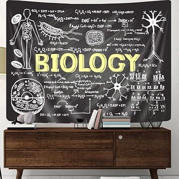 Uokiuki Science Tapestry, Educational Tapestry for Teen Teacher Student, Hand drawn Biology on Chalkboard Tapestry Wall Hanging for Classroom Bedroom Living Room Dorm 60 X 40 Inch