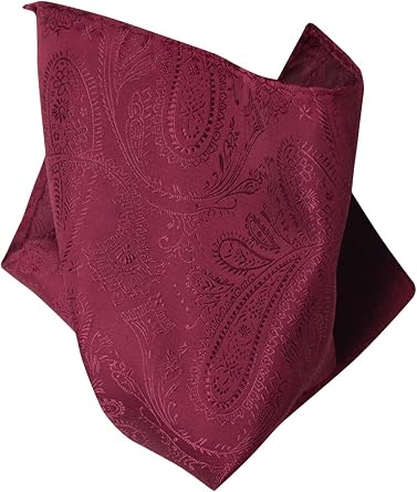 Vesuvio Napoli PAISLEY Design Mens Hankerchief Pocket Square Mens Hanky Hankie