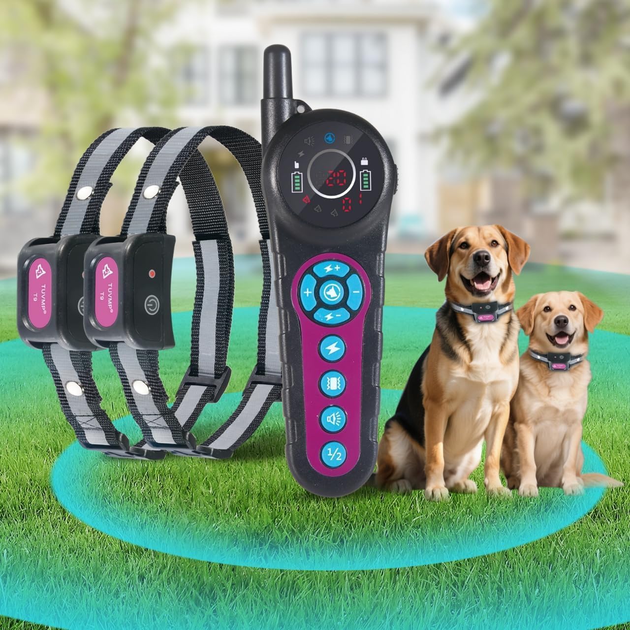 DOTSTAR Dog Wireless Fence Training Collar Pet Electric 2 in 1 System, Portable Dog Perimeter Fence Training Collar, Rechargeable Pet Containment System with 3 Training Modes for Large Medium Dogs