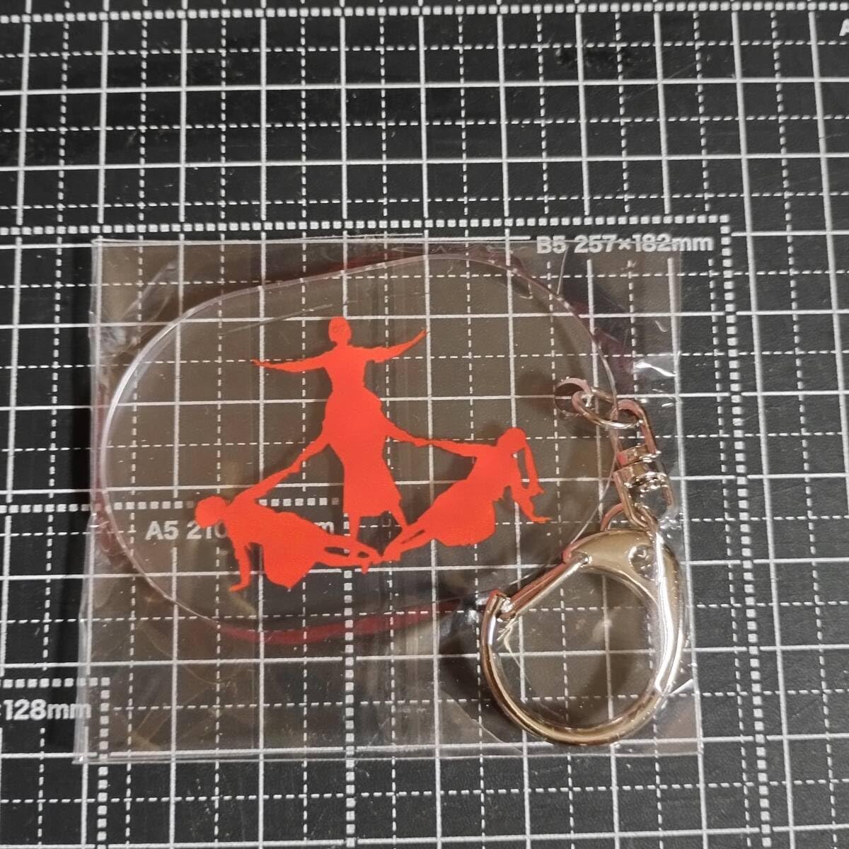 Amazon.co.jp: 新しい学校のリーダーズ キーホルダー リーダーズ