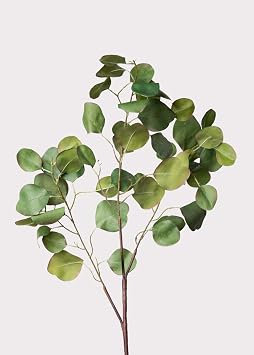Afloral Faux Silver Dollar Eucalyptus Branch - 39"
