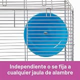 Ver la foto 7