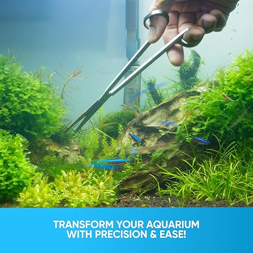 Miniatura 2 de 5 en 1 acuario Aquascaping Kit de acero inoxidable acuario tanque de peces acuático herramientas herramientas pinzas tijeras espátula conjunto