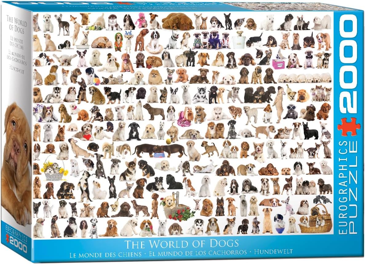 The World of Dogs