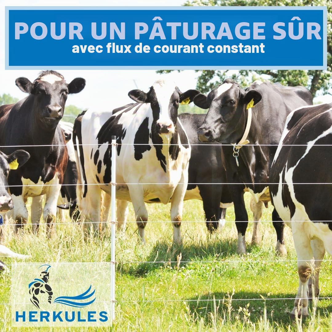 Farmland Herkules Lot de 10 piquets de clôture de pâturage 150 cm Plastique Robuste Pointe Acier galvanisé Double Marche