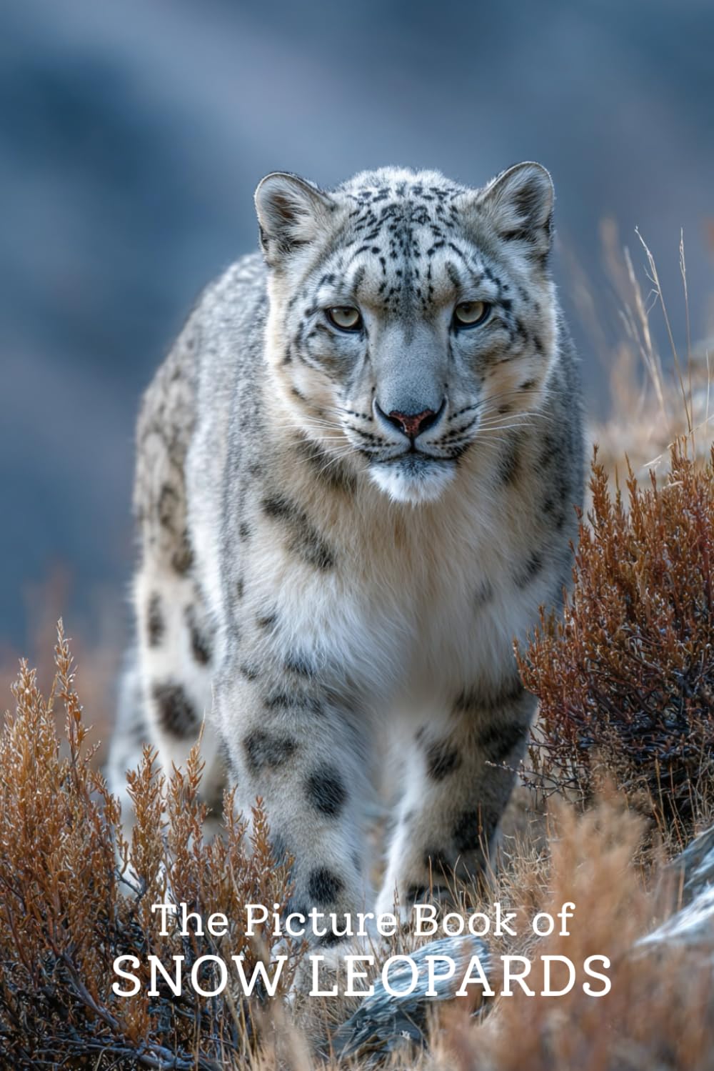 The Picture Book of Snow Leopards | Stunning Photo-Realistic Images of the Elusive Snow Leopard: A Premium 6x9 Inch Picture Book Featuring Lifelike ... for Wildlife Lovers and Nature Enthusiasts