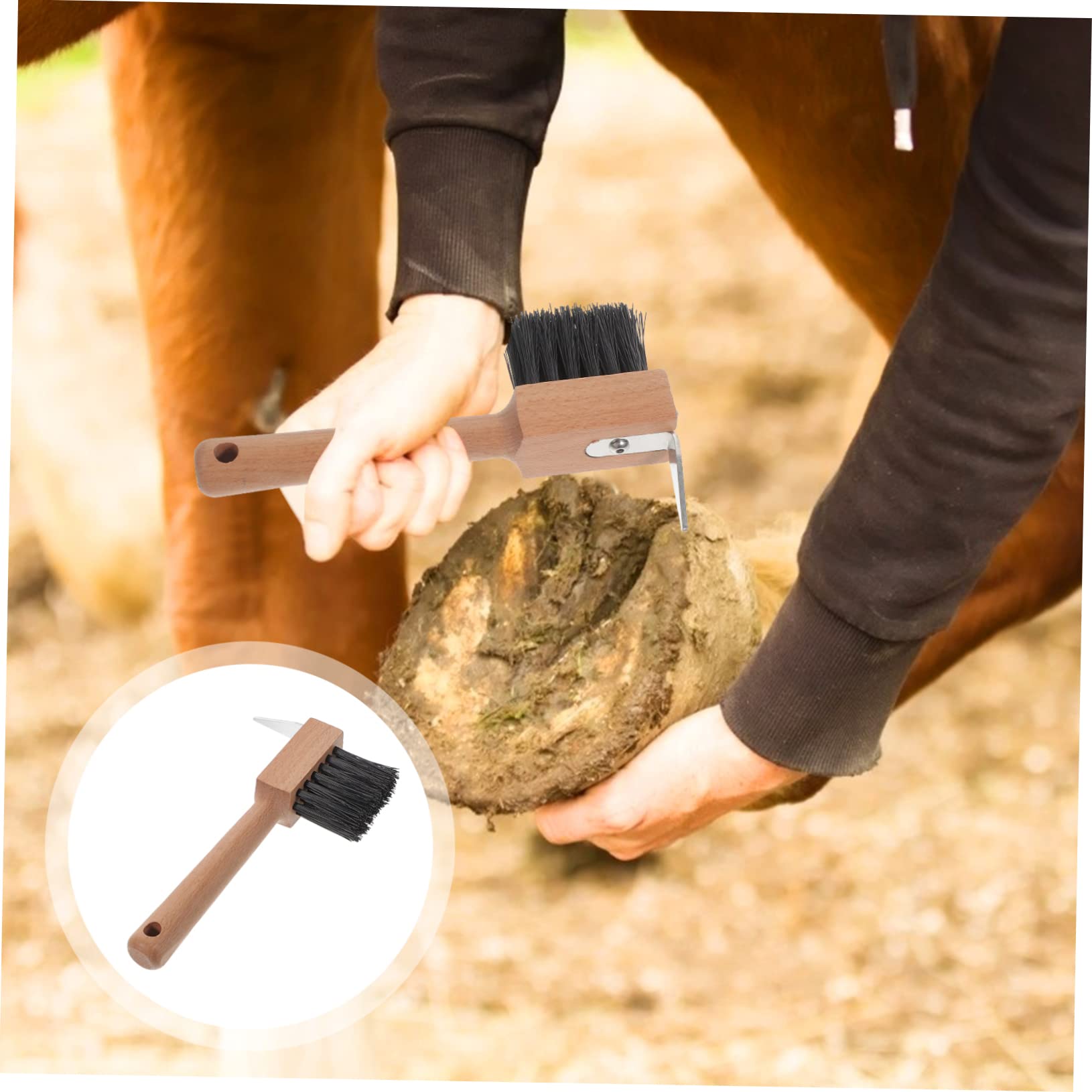 2pcs Brosse En Fer à Cheval Fournitures Nettoyage D'écurie Cheval