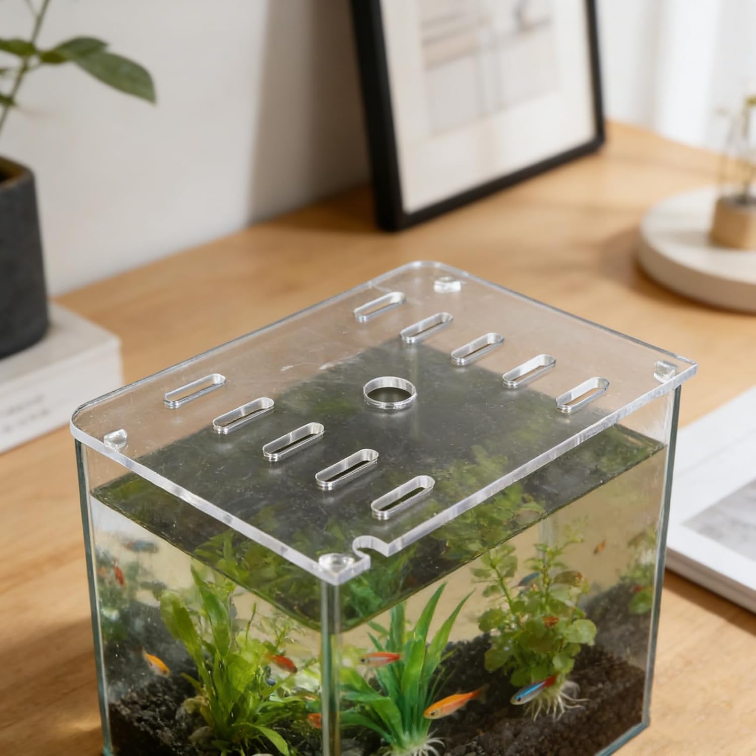 Acrylic Aquarium Cover Lid 20x14cm with Holes for Fish Escape Prevention and Visibility, Suitable for Terrarium Breeding and Small Reptiles
