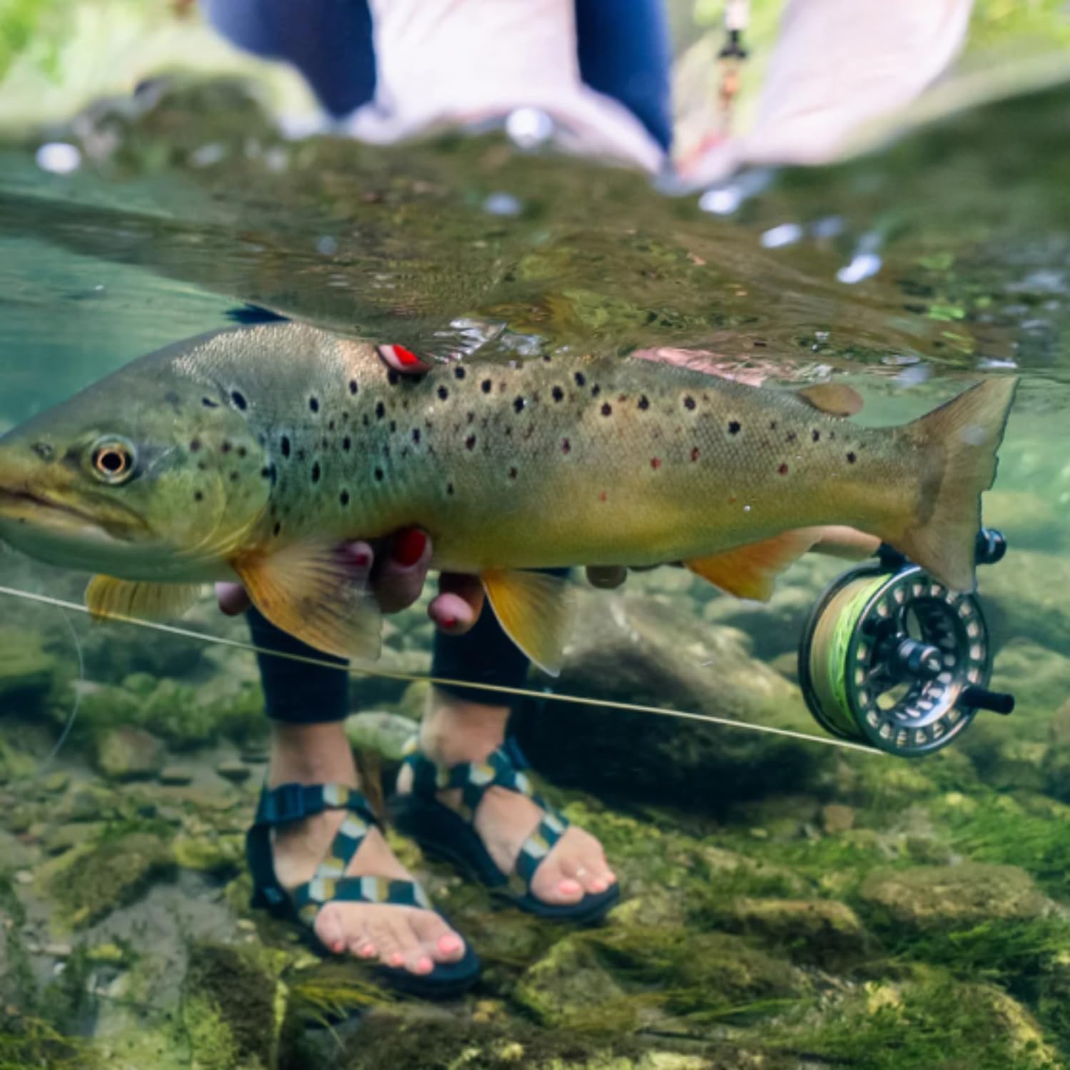 RIO Products Premier Gold XP Fly Fishing Line - Extra Power and Versatility - Smooth Casting Fly Line