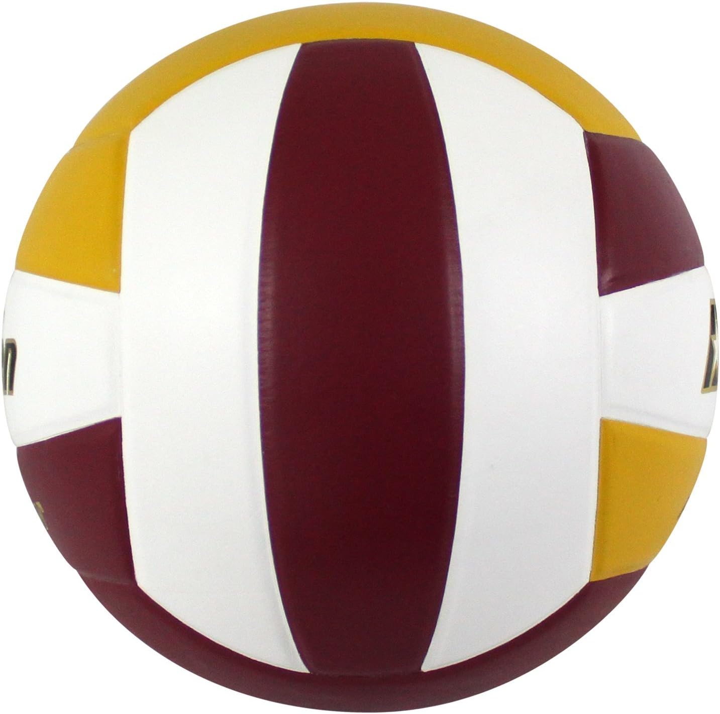Baden | Perfection | Premium Leather | Indoor Official Game Volleyball | 13U to College | Official Size + Weight | NFHS + AVCA Approved