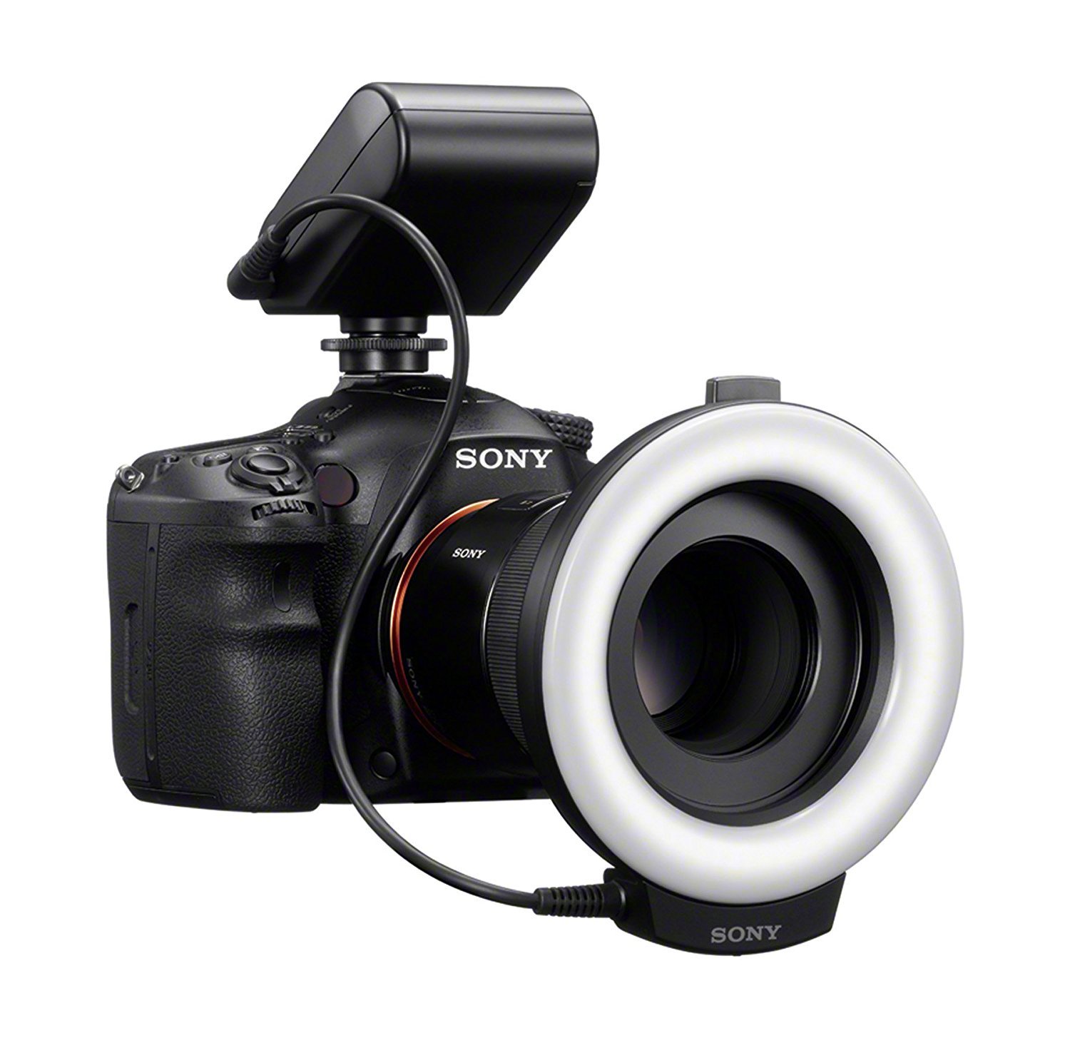 Buy Sony HVLRL1 Ring Light, (Black) Online at Low Price in India 