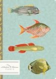 Carnaval: Underwater Carnival of Colorful Fish (Petit Perfect-Bound Notebooks - Soft Touch Cover)