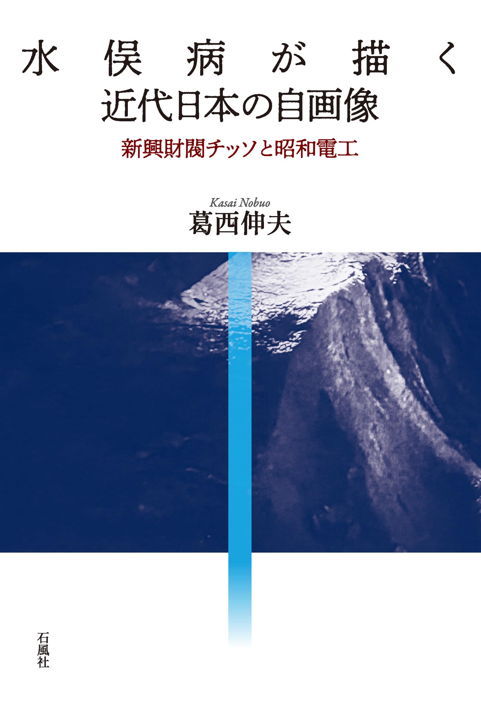 Amazon.co.jp: 水俣病が描く近代日本の自画像 新興財閥チッソと昭和