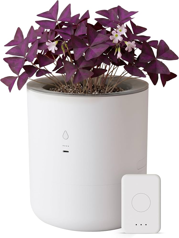 Amazon.com : LeafyPod 8 Inch Smart Self Watering Planter with WiFi