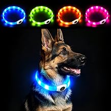 LaRoo Light Up Dog Collar, USB Rechargeable LED Pet Safety Collar, Ultra-Soft Silicone Glow in The Dark for Night Walking & Backyard, Cuttable Size for Small Medium Large Dogs Blue