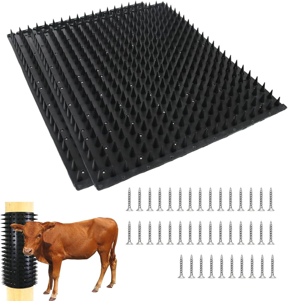 motto kuma OX SAND FROM SCRATCH モットクマ motto kuma OX SAND FROM SCRATCH モットクマ motto kuma OX SAND FROM