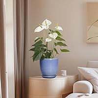 Vista 7 de Macetas de cerámica de 6 pulgadas para plantas, macetas de cerámica con orificio de drenaje y platillo, maceta para plantas de interior, maceta