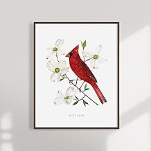 Virginia State Bird Art Print, Virginia Cardinal And Dogwood, State Flower Bird Wall Art Watercolor Home Decor