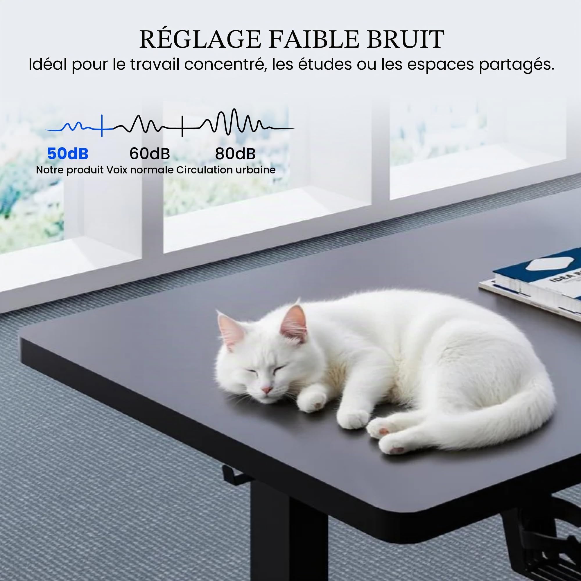 FLEXISPOT Bureau Assis Debout 160x60cm Bureau Réglable en Hauteur Électrique, Panneau de Contrôle à Fonctions Mémoires, Bureau à Télétravail(Cadre Noir+Plateau Noir)