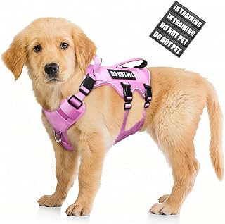 WINSEE Escape Proof Dog Harness with Double Handle+4 Removable Patches | Service Working Molle Harness with Double Handle for Small Dogs, Tactical Pet Reflective Vest for Walking Hiking Hunting