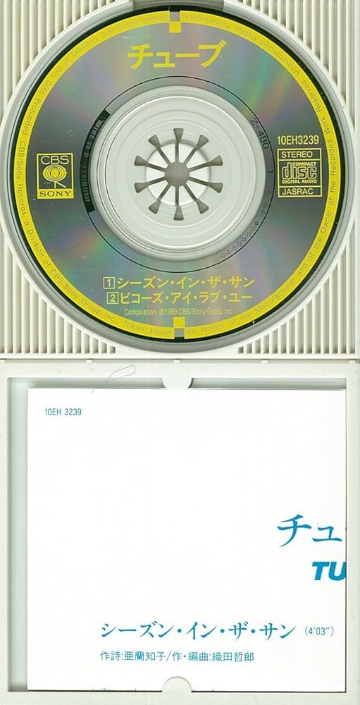 廃盤】『イン・ザ・スープ』 DVD サンプル版 廃盤】『イン・ザ・スープ