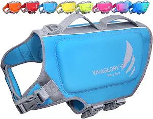 VIVAGLORY Dog Life Vest High Buoyancy Dog Swim Vest, Large, Blue